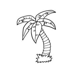 Coloriage et dessin Palmier à imprimer