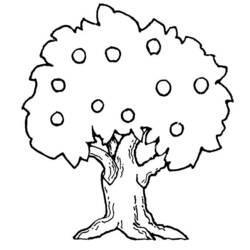 Coloriage et dessin Pommier à imprimer