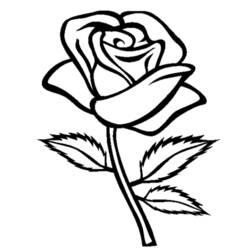 Coloriage et dessin Roses à imprimer