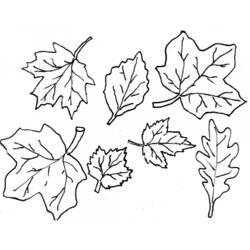 Coloriage et dessin Saison Automne à imprimer