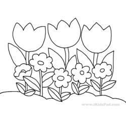 Coloriage et dessin Tulipe à imprimer