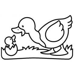 Coloriage et dessin Canard à imprimer