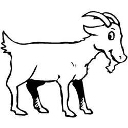 Coloriage et dessin Chèvre à imprimer
