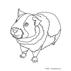 Coloriage et dessin Cochon dinde à imprimer
