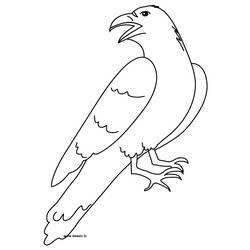 Coloriage et dessin Corbeau à imprimer