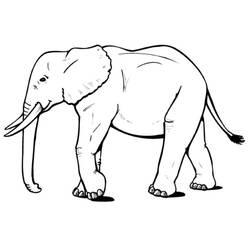 Coloriage et dessin Éléphant à imprimer