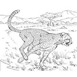 Coloriage et dessin Guépard à imprimer