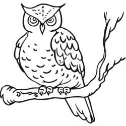 Coloriage et dessin Hibou à imprimer