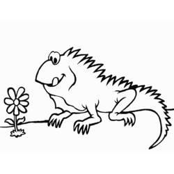 Coloriage et dessin Iguane à imprimer