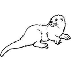 Coloriage et dessin Loutre à imprimer