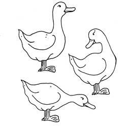 Coloriage et dessin Oie à imprimer