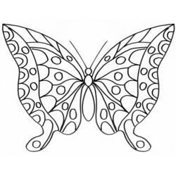 Coloriage et dessin Papillon à imprimer