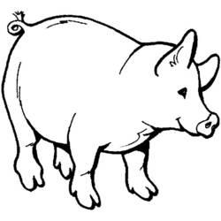 Coloriage et dessin Porc à imprimer