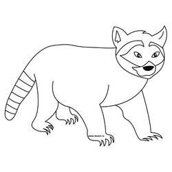 Coloriage et dessin Raton laveur à imprimer
