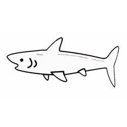 Coloriage et dessin Requin à imprimer