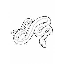 Coloriage et dessin Serpent à imprimer