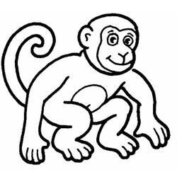 Coloriage et dessin Singe à imprimer