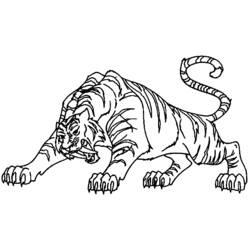 Coloriage et dessin Tigre à imprimer