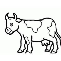 Coloriage et dessin Vache à imprimer